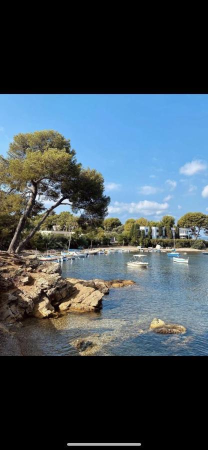 Superbe 2P Mezzanine Au Coeur Du Vieil Antibes Lejlighed Eksteriør billede